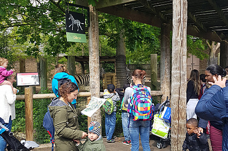Exploring London Zoo