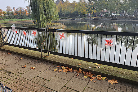 Our Remembrance Poppy's in Feltham display