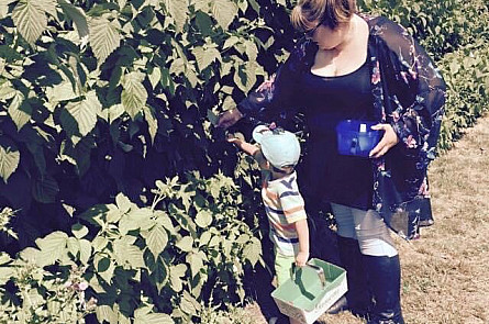 Berry picking at Garson's Farm